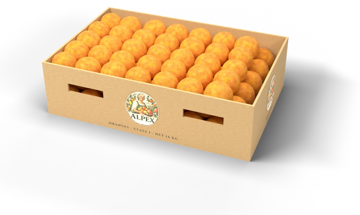 Open Alpex export carton filled with oranges, printed with the Alpex logo